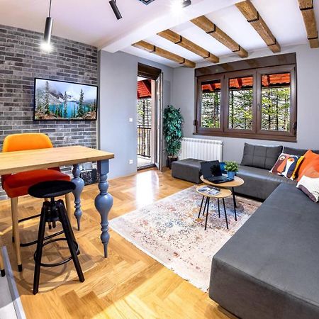 Apartment Erak Hill ズラティボール エクステリア 写真